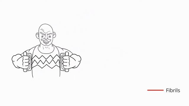 Stretching Tendons: A Mathematical Understanding of Soft Tissues смотреть онлайн