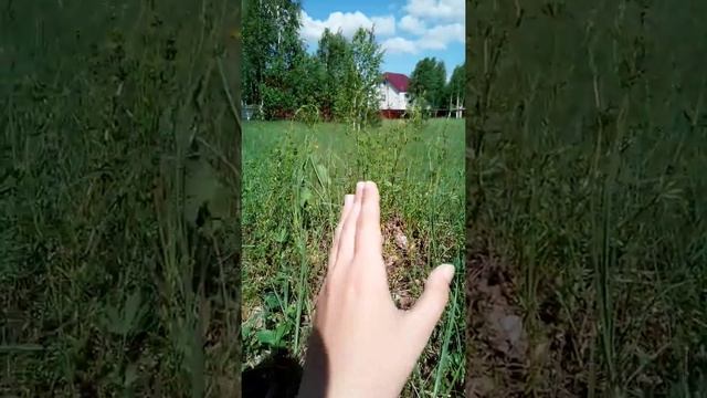 Как вызывать, ветер? смотреть онлайн