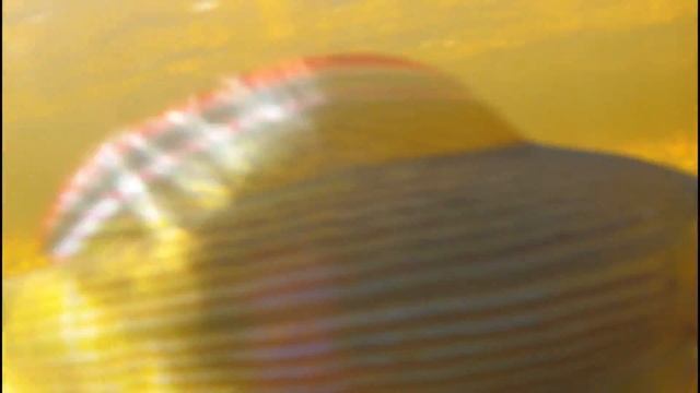 Охота,рыбалка.Трейлер канала!