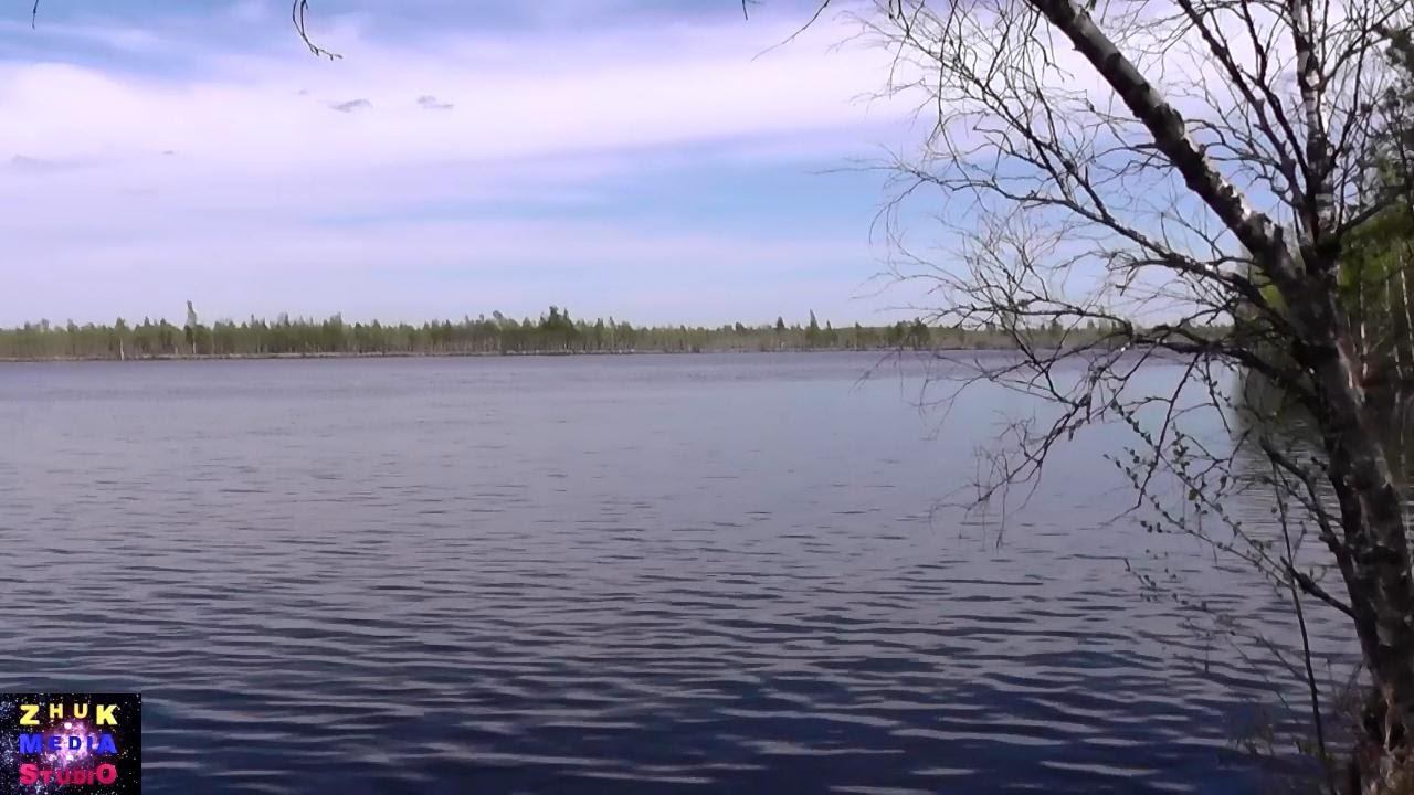 Сталкер 8 Носовское озеро смотреть онлайн