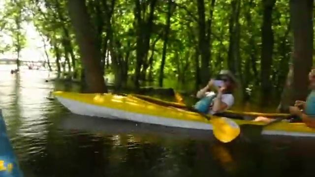 Затопленный лес возле ПДН смотреть онлайн