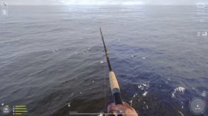 Первые морские снасти, начинаем правильно. Норвежское море, РР4.