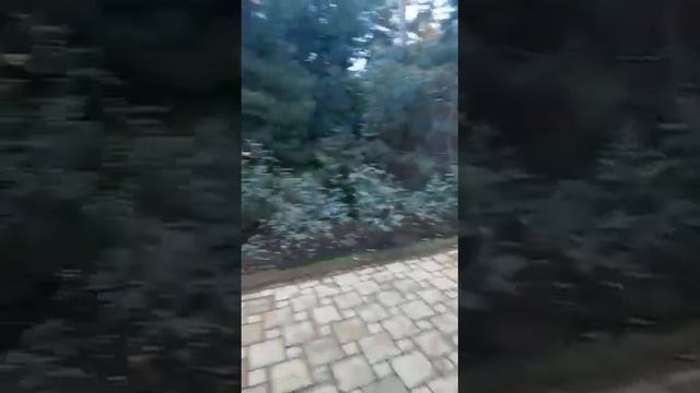 ВОДИЙЛИК ЙИГИТИМИЗНИ ИШЛАЙДИГАН ДАЧАЛАРИДАГИ ШАРТ ШАРОИТ. смотреть онлайн