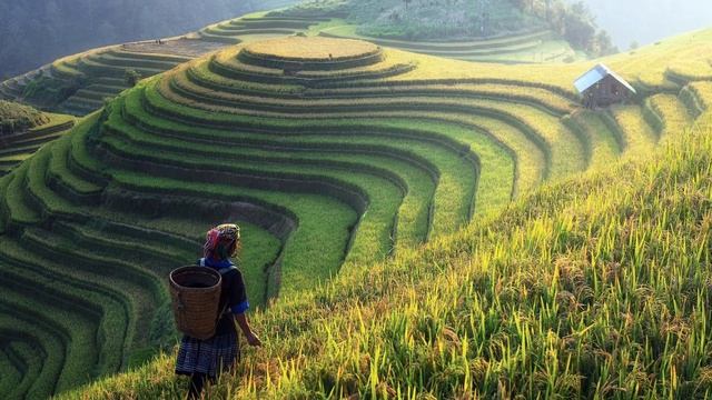 Edgar Hopp. Unspeakable Joy