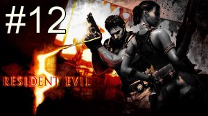 Resident Evil 5 - Кооператив - Глава 5-2 - Прохождение игры на русском [#12] | PC (2013 г.)