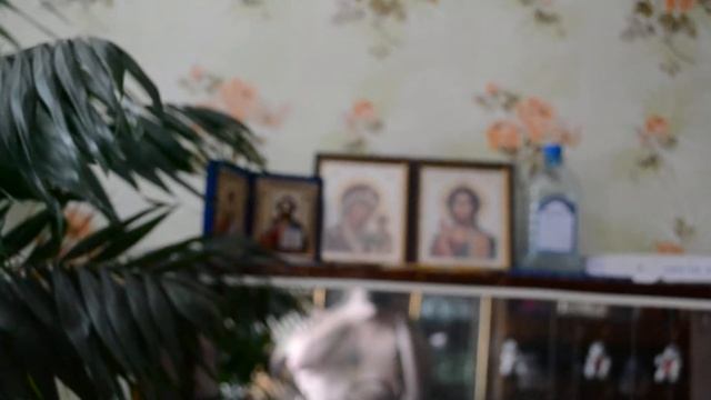 для форума.проверка видео на никон д 3100 смотреть онлайн