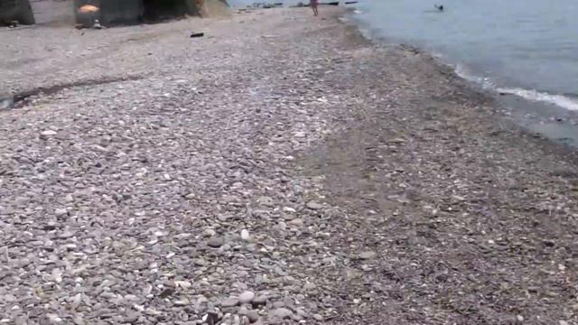 Дельфины в Головинке смотреть онлайн