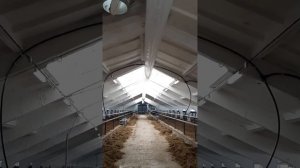 Вентиляция на ферме. Коровник.