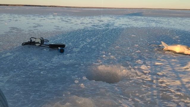 #Рыбалка на Яузском водохранилище зимой#Зимняя рыбалка на Яузском водохранилище смотреть онлайн
