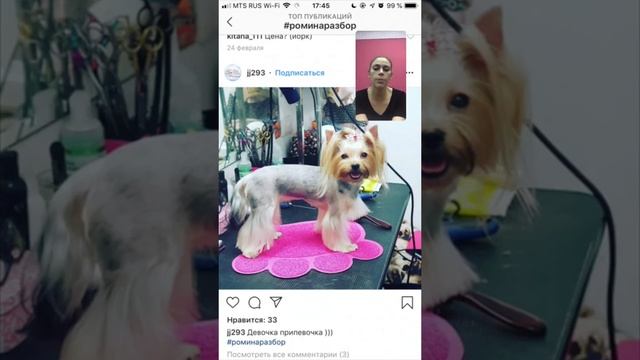 РАЗБОР СТРИЖЕК / ЙОРКШИРСКИЙ ТЕРЬЕР / ГРУМИНГ ЙОРКА / ОБУЧЕНИЕ ГРУМИНГУ / GROOM SCHOOL смотреть онлайн