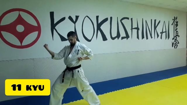 11 кю киокушинкай каратэ.  Базовые перемещения (идо). 11 Kyu Kyokushinkai Karate