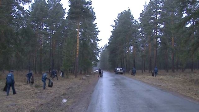 акция Чистый лес смотреть онлайн