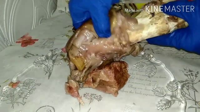 Холодец рецепт. Xolodes tayyorlanishi???? смотреть онлайн