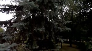 Покровск-Альянс, песня - Далекий свет.