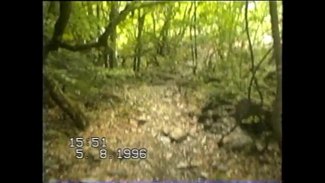 По таракташской тропе на VHS смотреть онлайн
