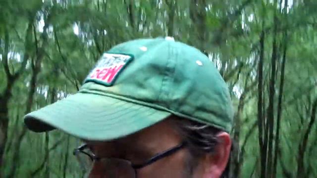 Pachyderminous Population смотреть онлайн