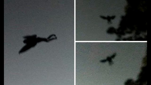 Человек-мотылёк смотреть онлайн