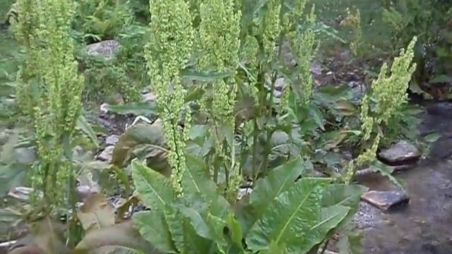 речка в деревне Майорка смотреть онлайн