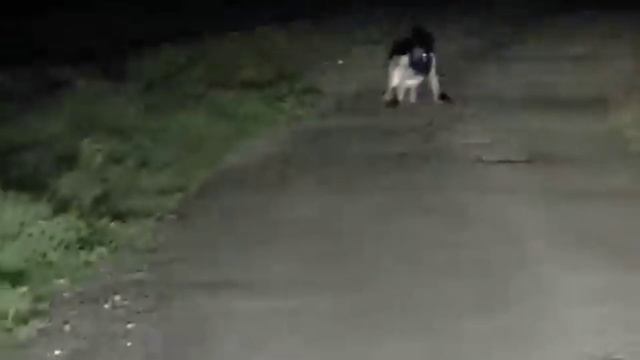 Сущность на пути смотреть онлайн