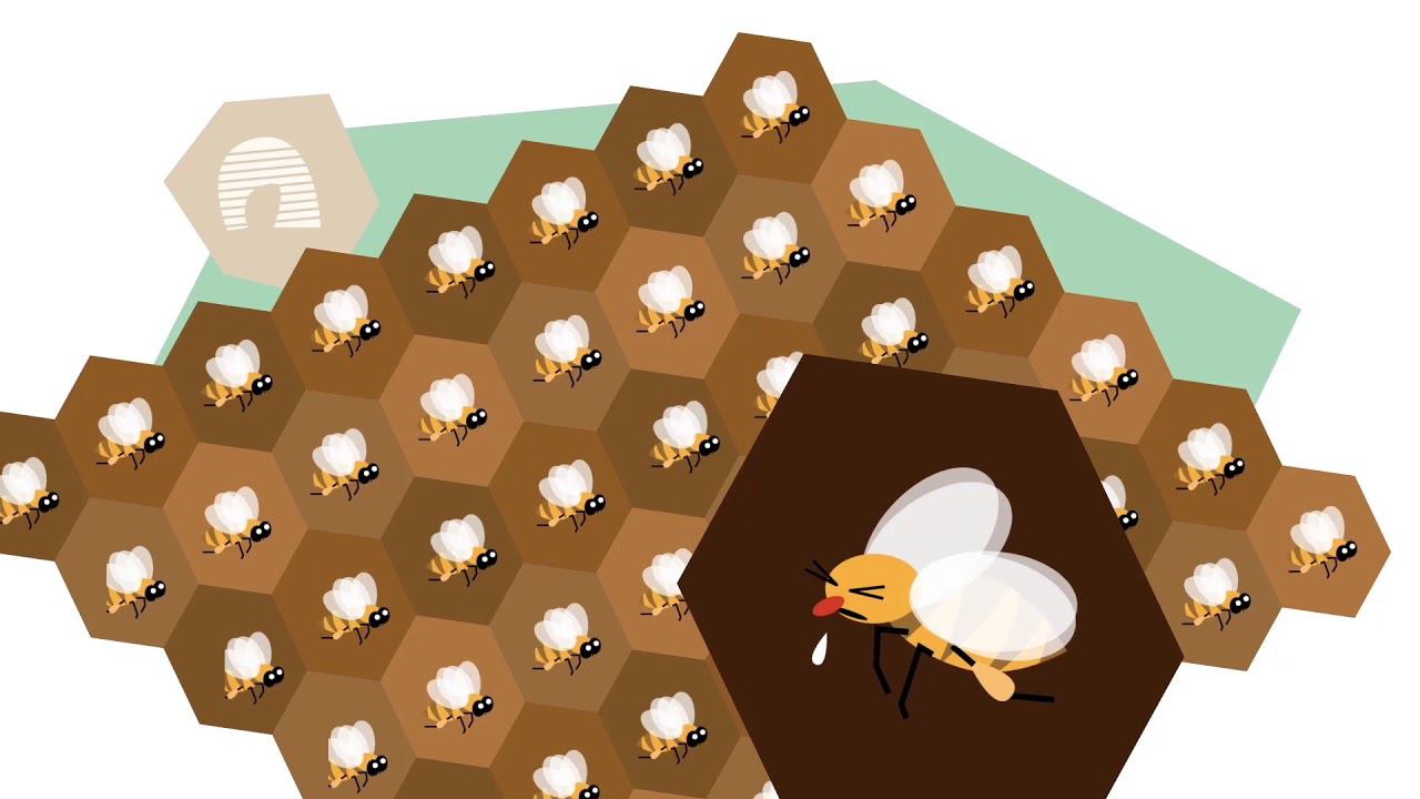 Bee адаптация смотреть онлайн