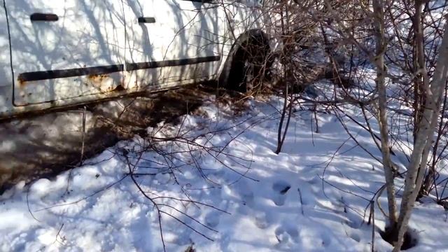 Работа в лесах Эстонии, застряли. смотреть онлайн