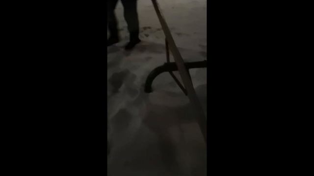 Фурри на выгуле! Прогулка по улице Вологды смотреть онлайн