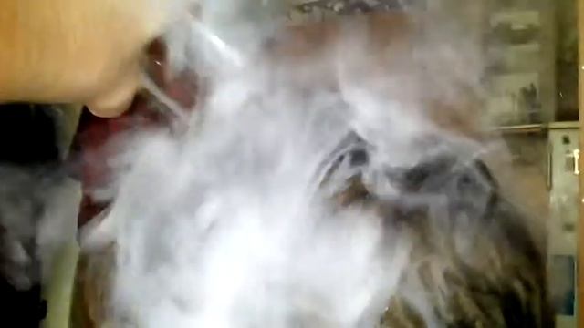 ЭДИК ТЫ ГОТОВ? смотреть онлайн