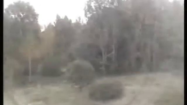 Белорусско-польская граница смотреть онлайн