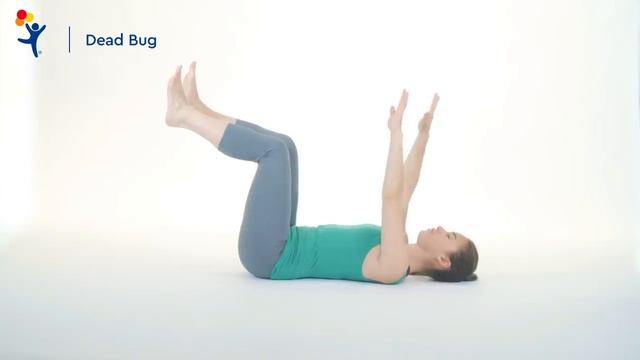 Core Exercise: Dead Bug смотреть онлайн