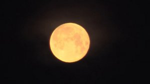 moonlight Serenade  (1939)