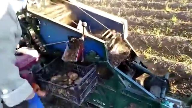 Картофельный комбайн однорядный под минитрактор сделан умельцем своими силами смотреть онлайн