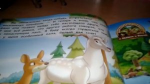Животные леса , моя коллекция...