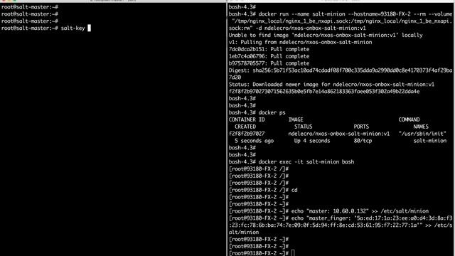 Cisco Nexus 9000 SaltStack Minion Installation with Docker смотреть онлайн