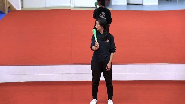 Tai Chi Fan For Beginners