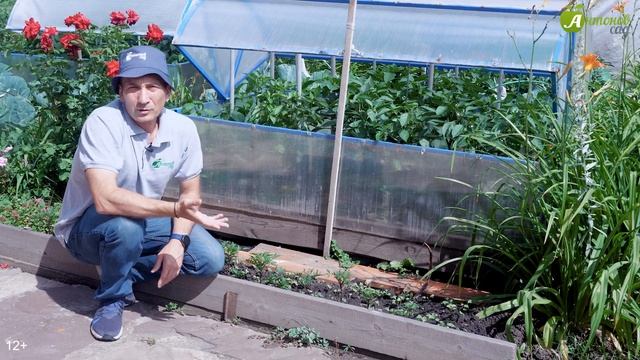 Что посеять в августе. Сохраняем плодородие почвы смотреть онлайн