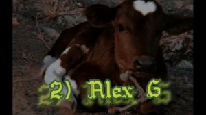 Эстетичные(англиские) песни для Травниц/ведьмочек/фей🦋