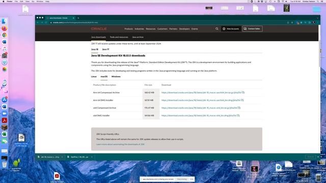 How to Install and use Minecraft Optifine 1.19 For Mac смотреть онлайн