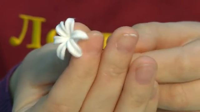 Цветы из полимерной глины - видео мастер-класс смотреть онлайн