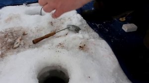 Ловля плотвы зимой.