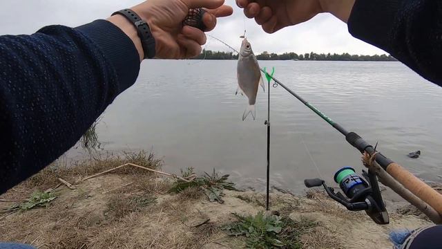 ОСЕННИЙ ФИДЕР НА РЕКЕ смотреть онлайн