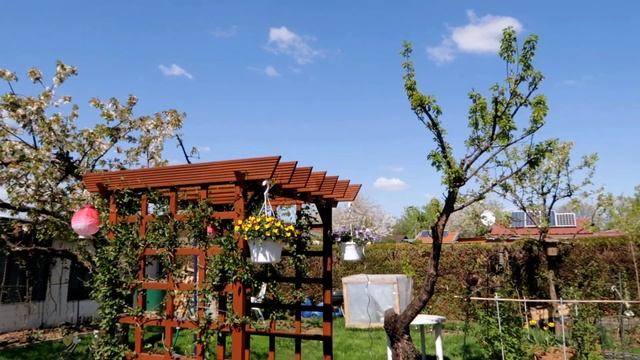 Картофель и виноград после заморозков в 2022 году смотреть онлайн