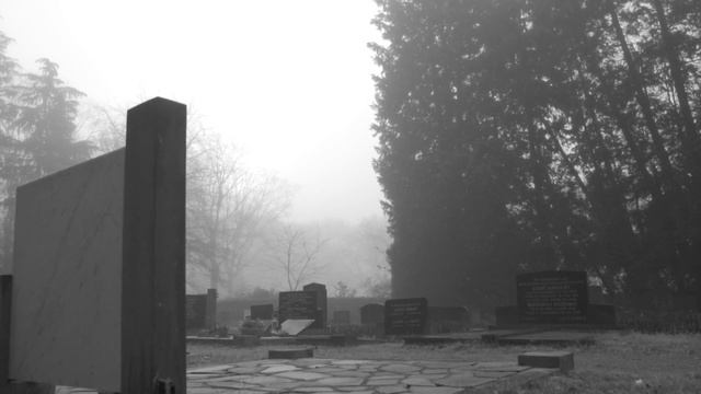 Страшная история 5: Лица на портретах смотреть онлайн