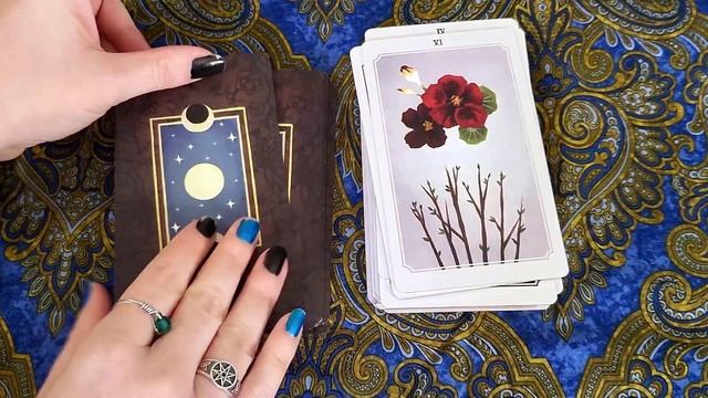 Anima Mundi Walkthrough! & Ghibli Lenormand, Animal Spirit Oracle смотреть онлайн