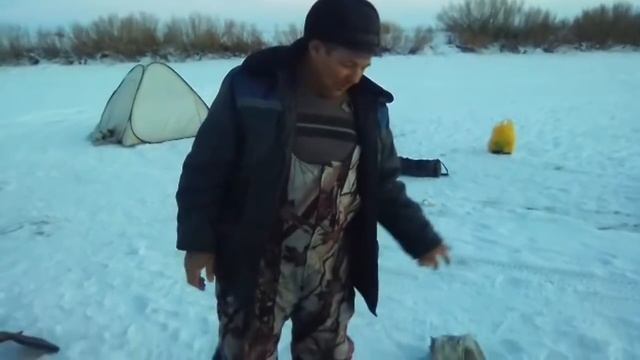 РЫБАЛКА В ТУРГАЕ С ЖЕРЛИЦАМИ, ЩУКА ГЛОТАЕТ НАШИХ ЖИВЦОВ, ОГРОМНЫЙ ОКУНЬ НЕ ОТСТАЁТ ОТ НЕЁ! смотреть онлайн