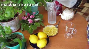Приглашаю на витаминный чай Каркаде и вода с Лимоном! или Карантинный флешмоб. #карантинныйфлэшмоб