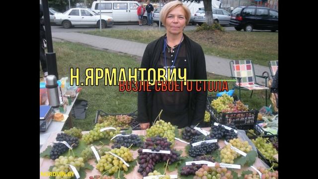 Выставка ярмарка " Янтарная гроздь винограда 2018 " смотреть онлайн