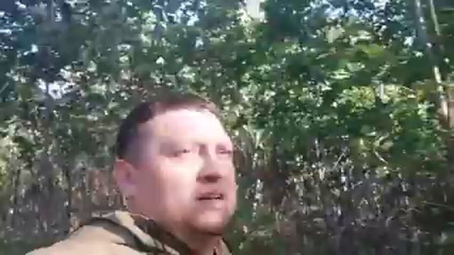 грибы в Приамурье, сентябрь 2023г. смотреть онлайн