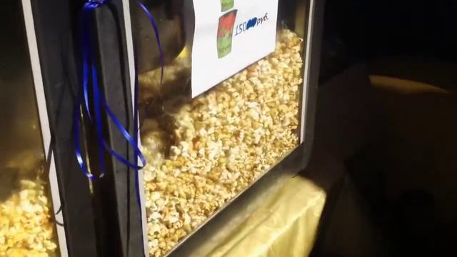 Городок аттракционов Санк-Петербург смотреть онлайн