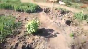 Роторный плуг