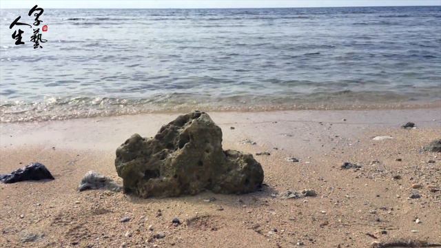 《心動》Tempting Heart｜竹笛演奏 Bamboo Flute (Dizi) cover｜電影《心動》主題曲 OST смотреть онлайн